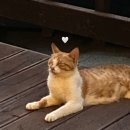 항포 펜션 이미지