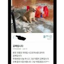 흔한마켓