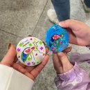 양평곤충박물관 | [경기도 양평]곤충박물관 실내 아이랑 가볼만한 곳 | 입장료 | 주차 | 체험 후기