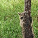 오늘도 스터디 이미지