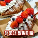 달맞이밤 | 청계천 대형카페 해운대 달맞이빵 청계천점