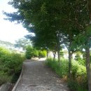 007-문산-007 이미지