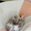 코코호두