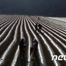 거창-가북-1 이미지