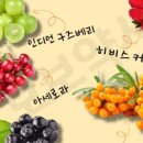 씨(C) 이미지