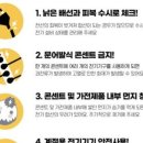 천호전기조명