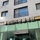 보드미동물병원 | 병원] 내돈내산 과잉진료 안하는 양심동물병원&lt;보드미동물병원&gt;방문 추천후기 / 강아지 건강검진 상담 후기