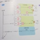 고급영양학 chapter 8. 다량 무기질(칼슘, 인, 마그네슘, 황) 이미지