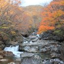 주식회사세연정 이미지