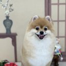 몽개구름 이미지