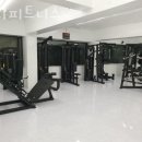 비디피트 네이버블로그