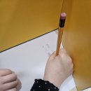 문해력 쑥쑥 독서논술 | 문해력이 쑥쑥 자라는 즐거운 독서논술 수업
