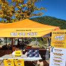 합천 씨파크 이미지