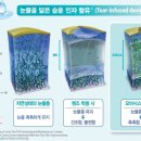 오아시스플러스 이미지