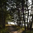 장곡3리 이미지