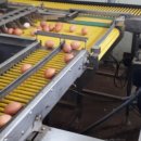 다드림푸드 이미지