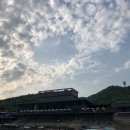 금강파라솔 이미지