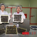 원진수산영어조합법인 이미지