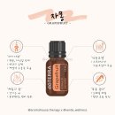 도테라더아로마하우스