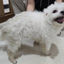 독산로51길 이미지