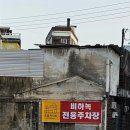 비하녹 이미지