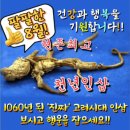 천년인삼 이미지