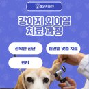 인동동물병원 이미지