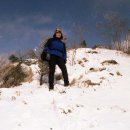 요기가거기 이미지