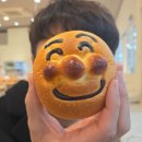 마방길 | [일본 사가 1박2일 여행#2마방] 카페 추천 리스트 - 마도이Madoi/죠나이노스 JONAI NORTH/수모모 SUMOMO...