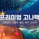 아론투어 이미지