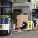 미광크리닝 이미지