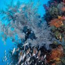 양일목장 이미지