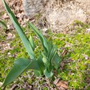 숲속펜션 이미지