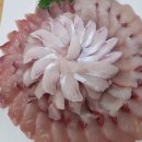 다거도횟집