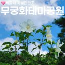 세종동_전월산 무궁화 테마공원 | 세종시 가볼만한곳 세종 전월산 무궁화테마공원 주차 산책