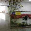 용인실내체육관 이미지