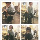 다나커피 이미지