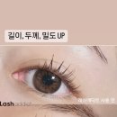 브로우유 네이버블로그