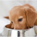 은계동물병원 이미지