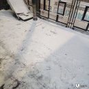 헝클머리 | [251204] 뮤지컬 캐빈 (하도권, 정동화) 두번째 관극 후기