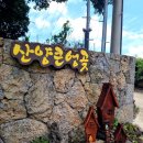 제주도 동쪽 여행코스 일정 2차