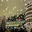 책의숲 | 빛이 쏟아지는 책의 숲, 별마당도서관에서 잠깐 힐링하고 왔어요