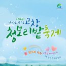 고창 청보리밭/두류공원 주차장(성당못)/4월 21일(일) 7시 이미지