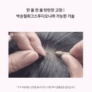 투디컬 | 평택맞춤가발, 다양한 스타일을 구연할 수 있는 맞춤가발을 제작해 드립니다.