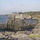 바다올레 이미지