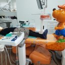 새싹어린이치과의원 이미지