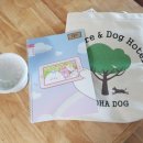 알로하도그 이미지