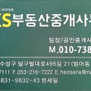 돌미상업로 이미지