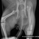 정성환동물병원 이미지