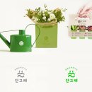 단고제원예교육연구소